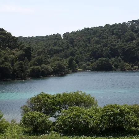 By The Sea Soline, Mljet - 403 公寓 古维达里